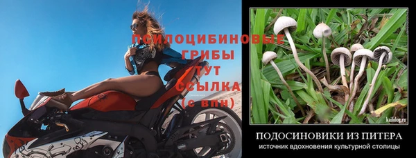 спайс Абаза